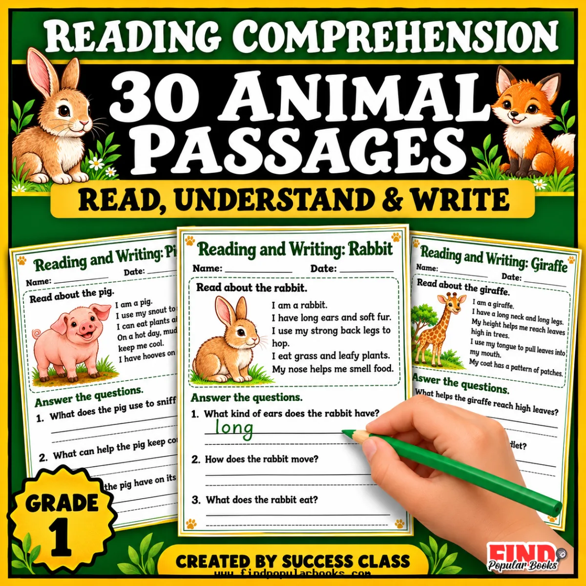 Animal Reading Comprehension Passages | 30 First Grade Reading & Writing Worksheets