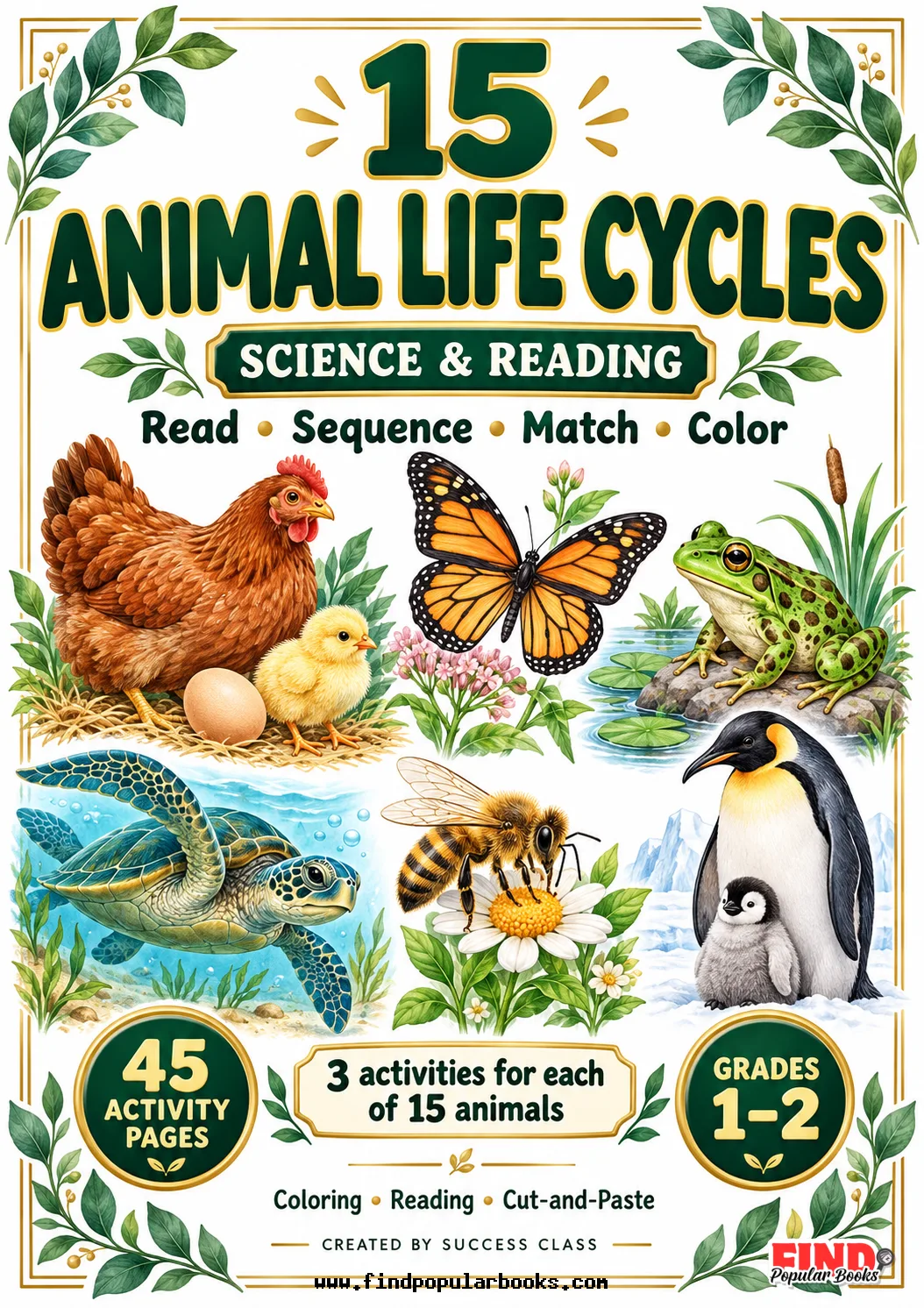 15 Animal Life Cycles Worksheets | Read, Sequence, Match & Color | 45 Pages