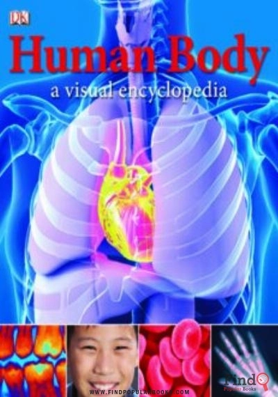 Download Human Body : A Visual Encyclopedia PDF or Ebook ePub For Free with Find Popular Books 