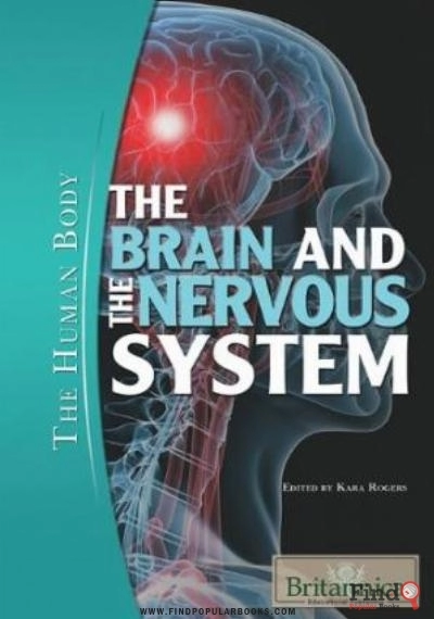 Download The Brain And The Nervous System (The Human Body) PDF or Ebook ePub For Free with Find Popular Books 