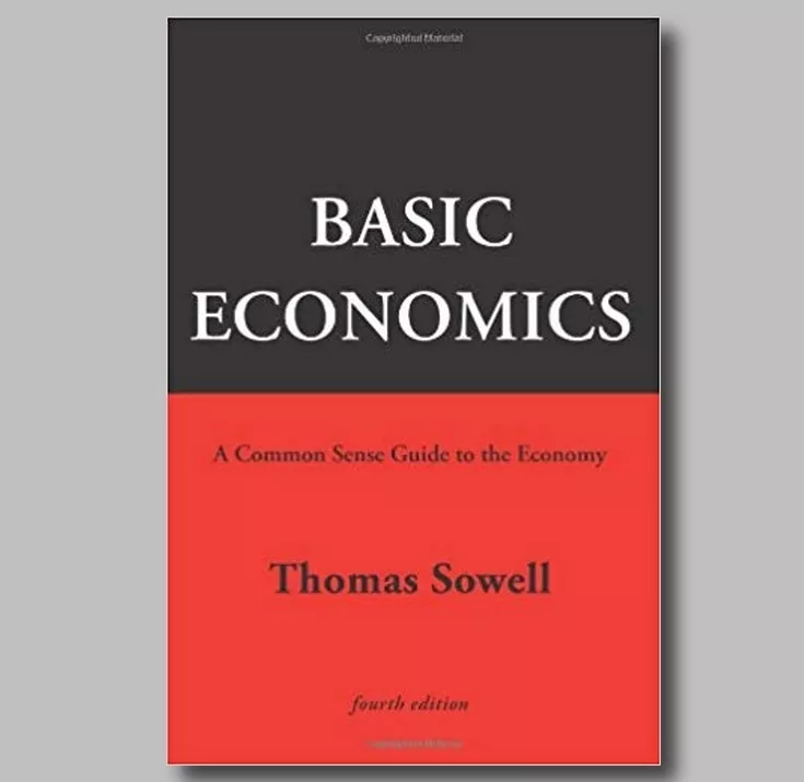 Download Basic Economics: A Common Sense Guide To The Economy PDF or Ebook ePub For Free with Find Popular Books 