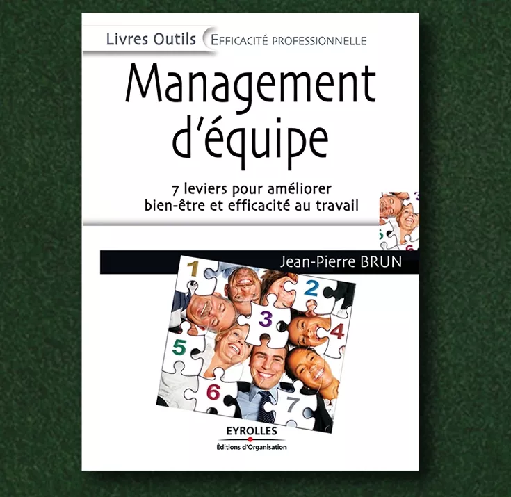 Download MANAGEMENT D'ÉQUIPE : 7 LEVIERS POUR AMÉLIORER BIEN-ÊTRE ET EFFICACITÉ AU TRAVAIL PDF or Ebook ePub For Free with Find Popular Books 