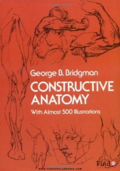 Download Constructive Anatomy PDF or Ebook ePub For Free with Find Popular Books 