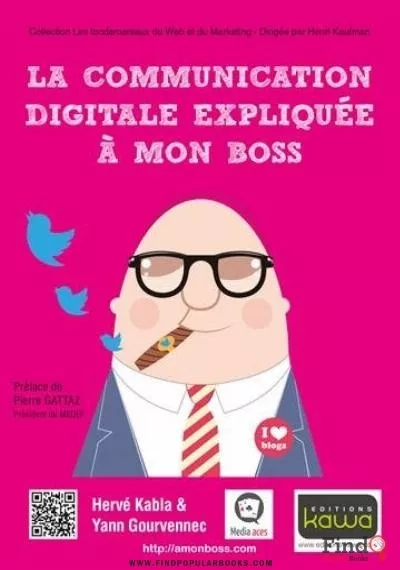 Download La Communication Digitale Expliquée À Mon Boss PDF or Ebook ePub For Free with Find Popular Books 